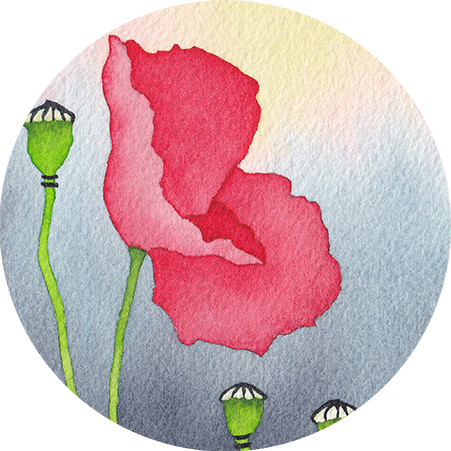 Detail Pavot Coquelicots Aquarelle CatMat